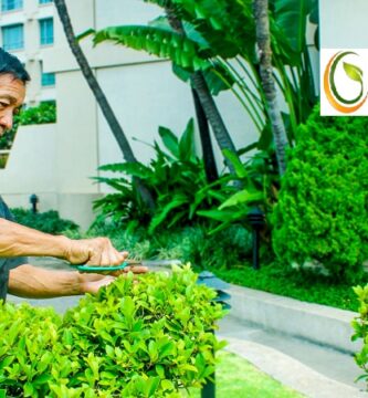 Giới Thệu Chăm Sóc Cảnh Quan Tphcm