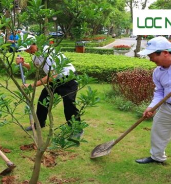 Dịch Vụ Cây Xanh Long An