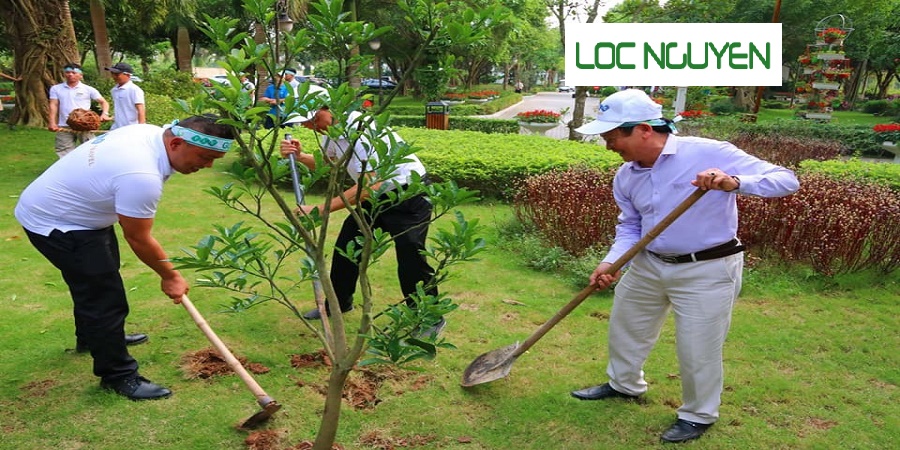 Dịch Vụ Cây Xanh Long An