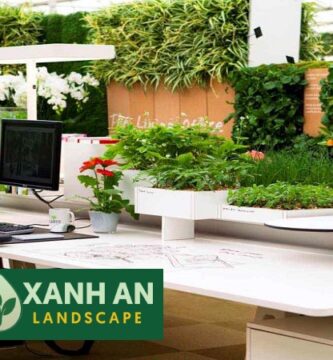 Dịch Vụ Thuê Cây Văn Phòng Tân Uyên