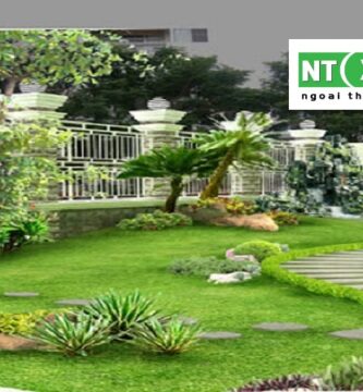 Dịch Vụ Trồng Cây Cảnh Tại Bến Lức Long An