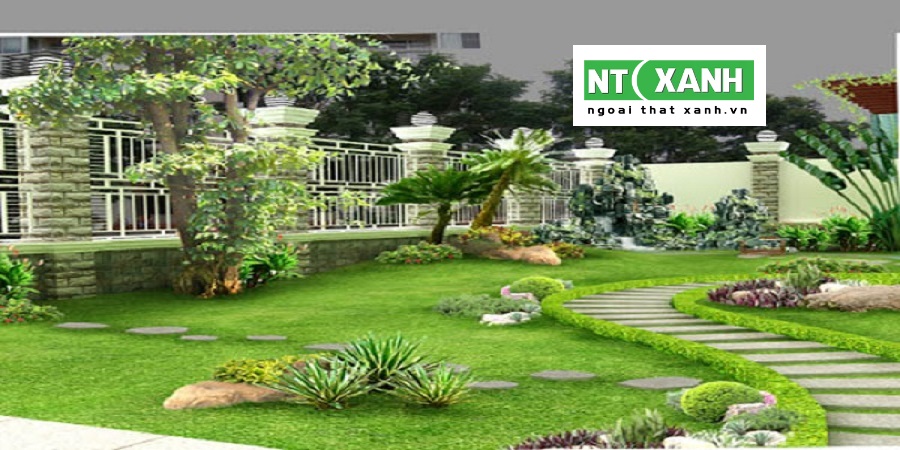 Dịch Vụ Trồng Cây Cảnh Tại Bến Lức Long An