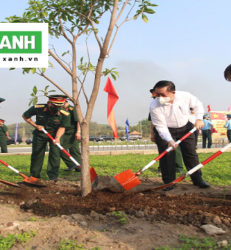 Dịch Vụ Trồng Cây Xanh Tây Ninh