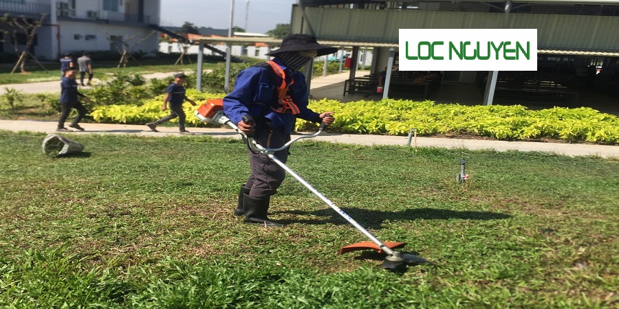 Đơn Vị Cắt Cỏ Hồ Chí Minh