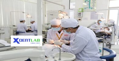 Vietnam dental laboratories district 9 ho chi minh