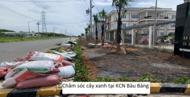 Chăm sóc cây xanh tại KCN Bàu Bàng