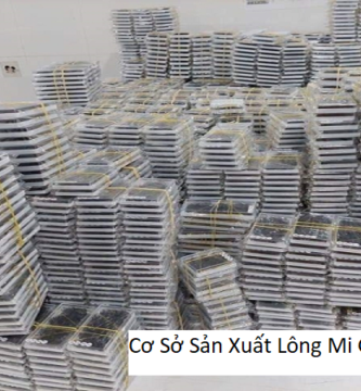 Cơ sở sản xuất lông mi giả tại bình dương