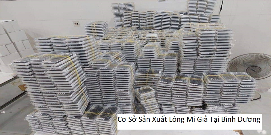 Cơ sở sản xuất lông mi giả tại bình dương