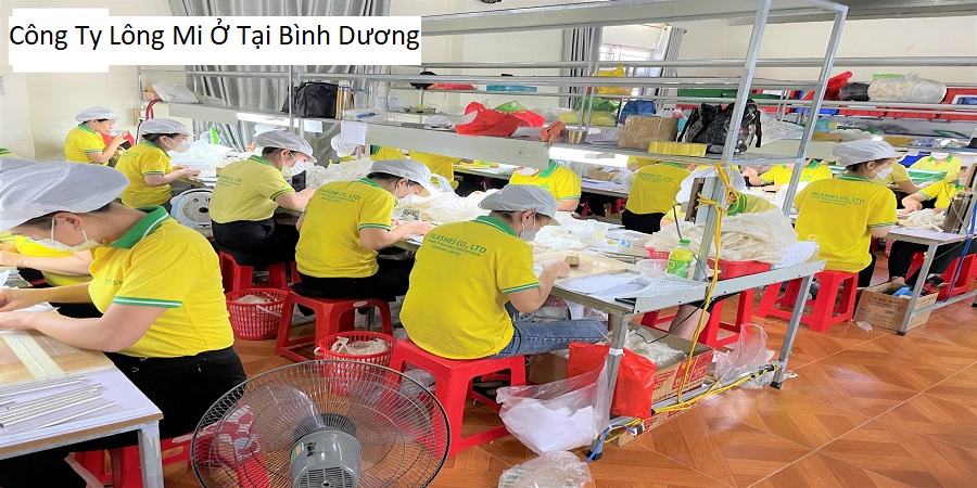 Công Ty Lông Mi Ở Tại Bình Dương