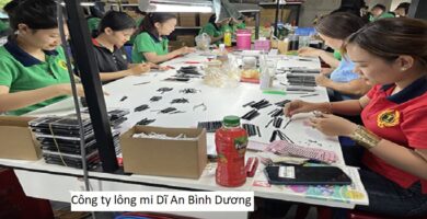 Công ty lông mi dĩ an bình dương