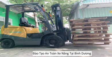 Đào Tạo An Toàn Xe Nâng Tại Bình Dương