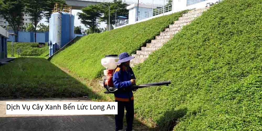 Dịch Vụ Cây Xanh Bến Lức Long An