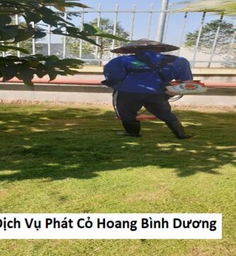 Dịch vụ phát cỏ hoang bình dương