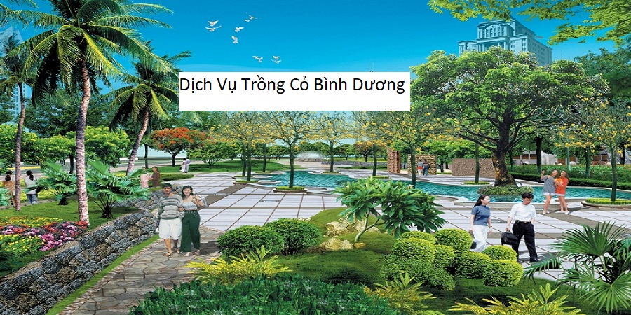 Dịch vụ trồng cỏ bình dương