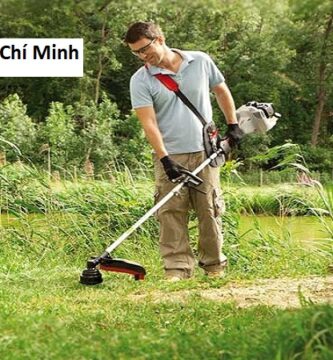 Đơn Vị Cắt Cỏ Tại Hồ Chí Minh