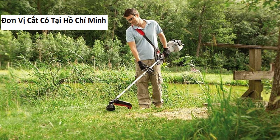 Đơn Vị Cắt Cỏ Tại Hồ Chí Minh
