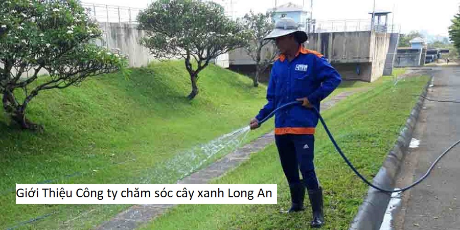 Giới Thiệu Công ty chăm sóc cây xanh Long An