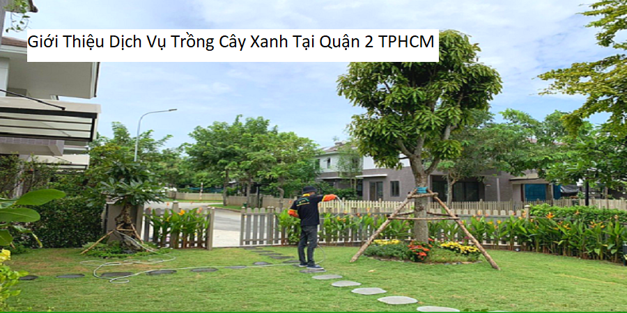 Giới thiệu dịch vụ trồng cây xanh tại quận 2 tphcm