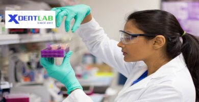 Lab to lab services