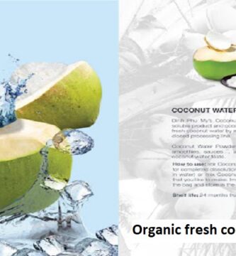 Organic fresh coconut vietnam