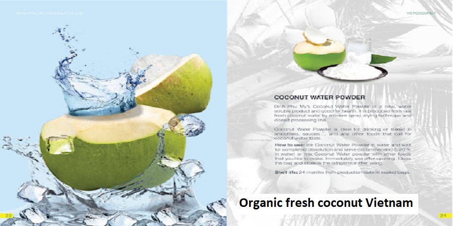 Organic fresh coconut vietnam