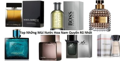 Top những mùi nước hoa nam quyến rũ nhất