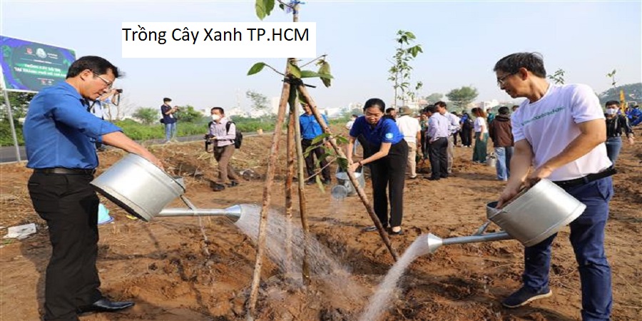 Trồng cây xanh tp.hcm