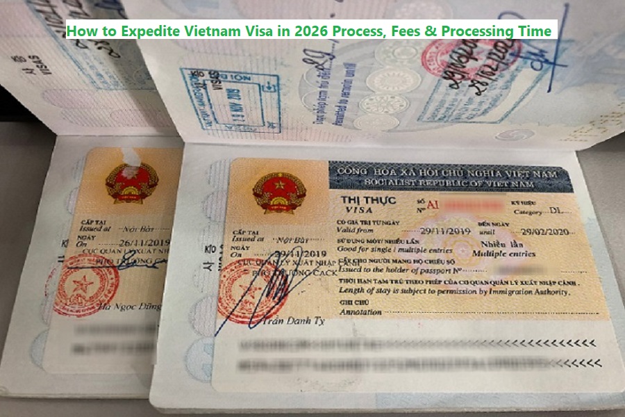 How to expedite vietnam visa in 2026 process, fees & processing time