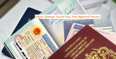 Urgent vietnam tourist visa fast approval process