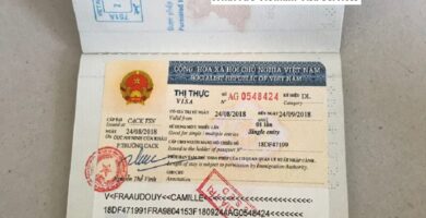 What are vietnam visa services